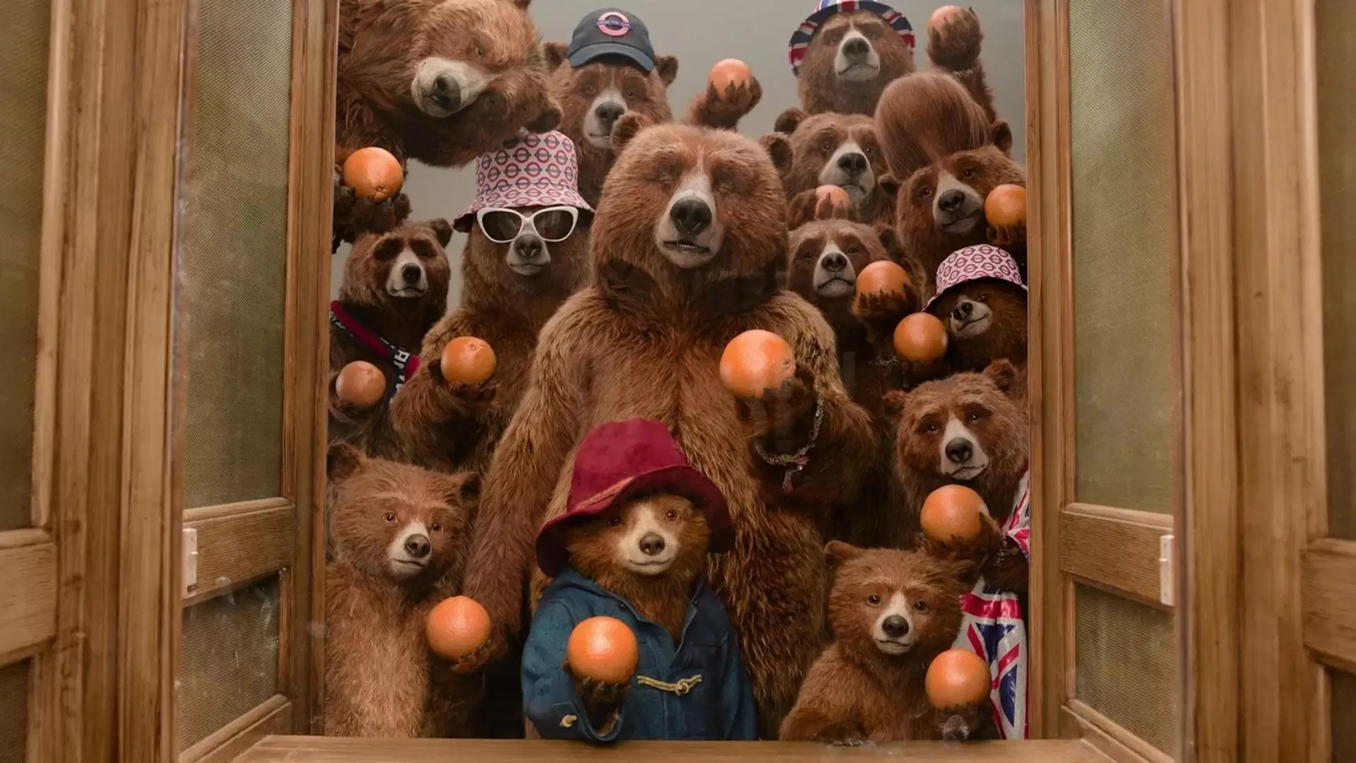 دانلود انیمیشن Paddington in Peru 2024 (پدینگتون در پرو) با تماشای آنلاین