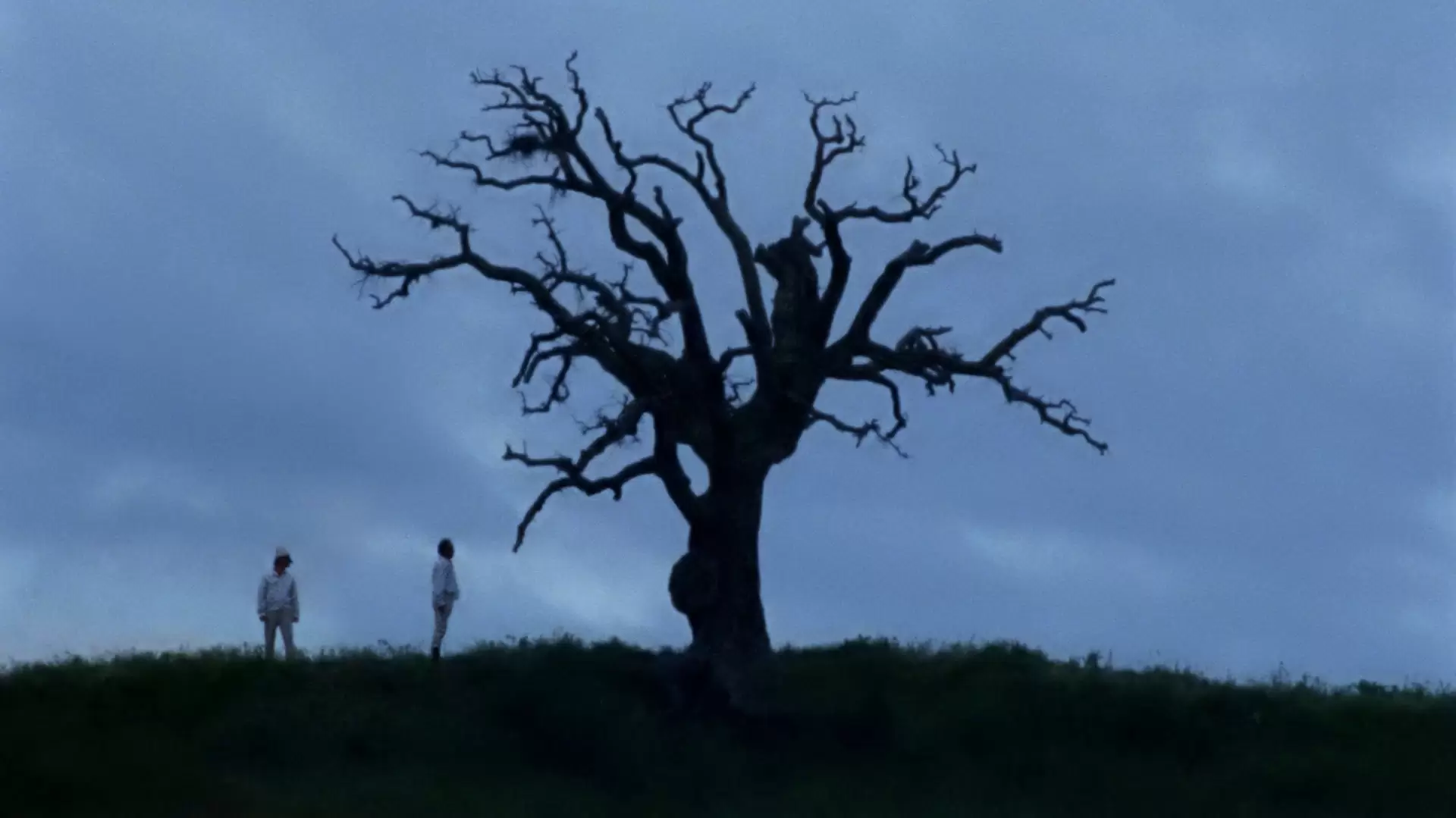 دانلود فیلم Lost and Beautiful 2015