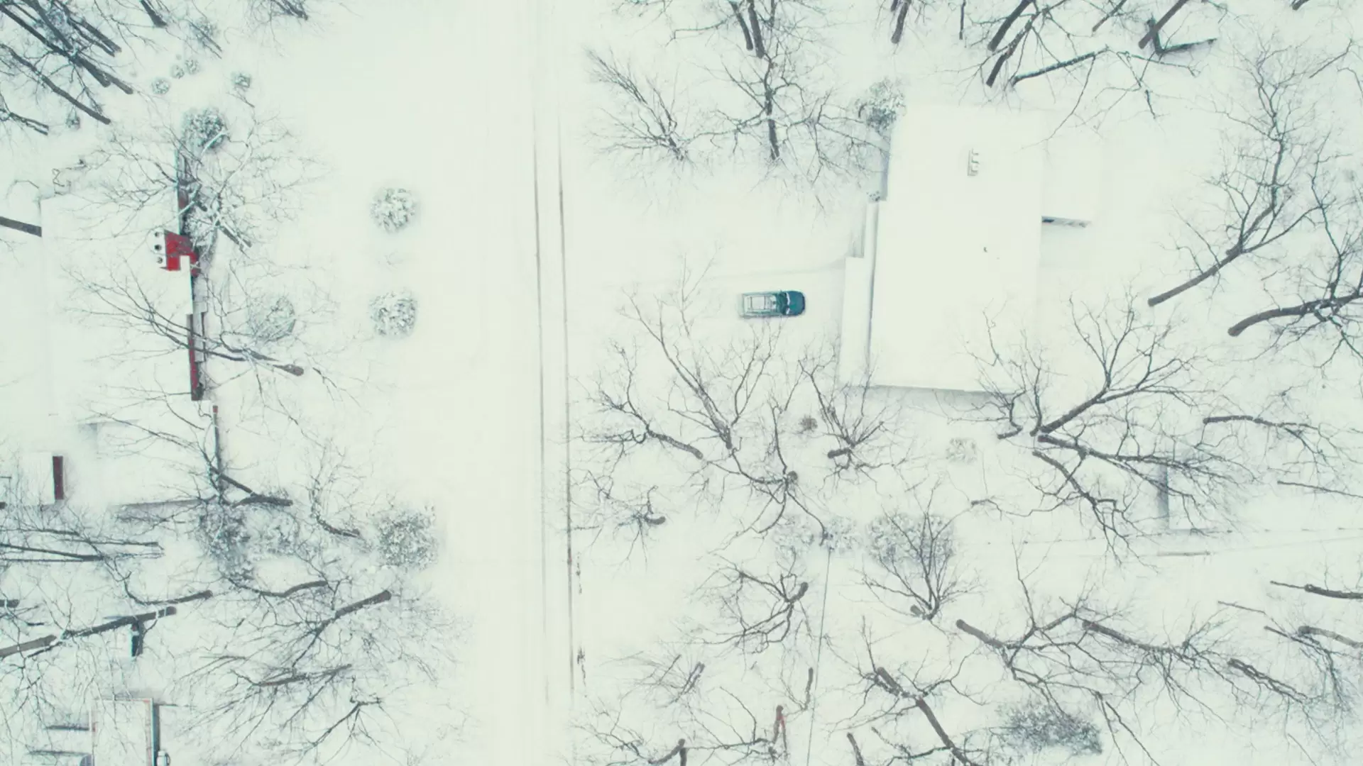 دانلود مستند Dead of Winter 2019