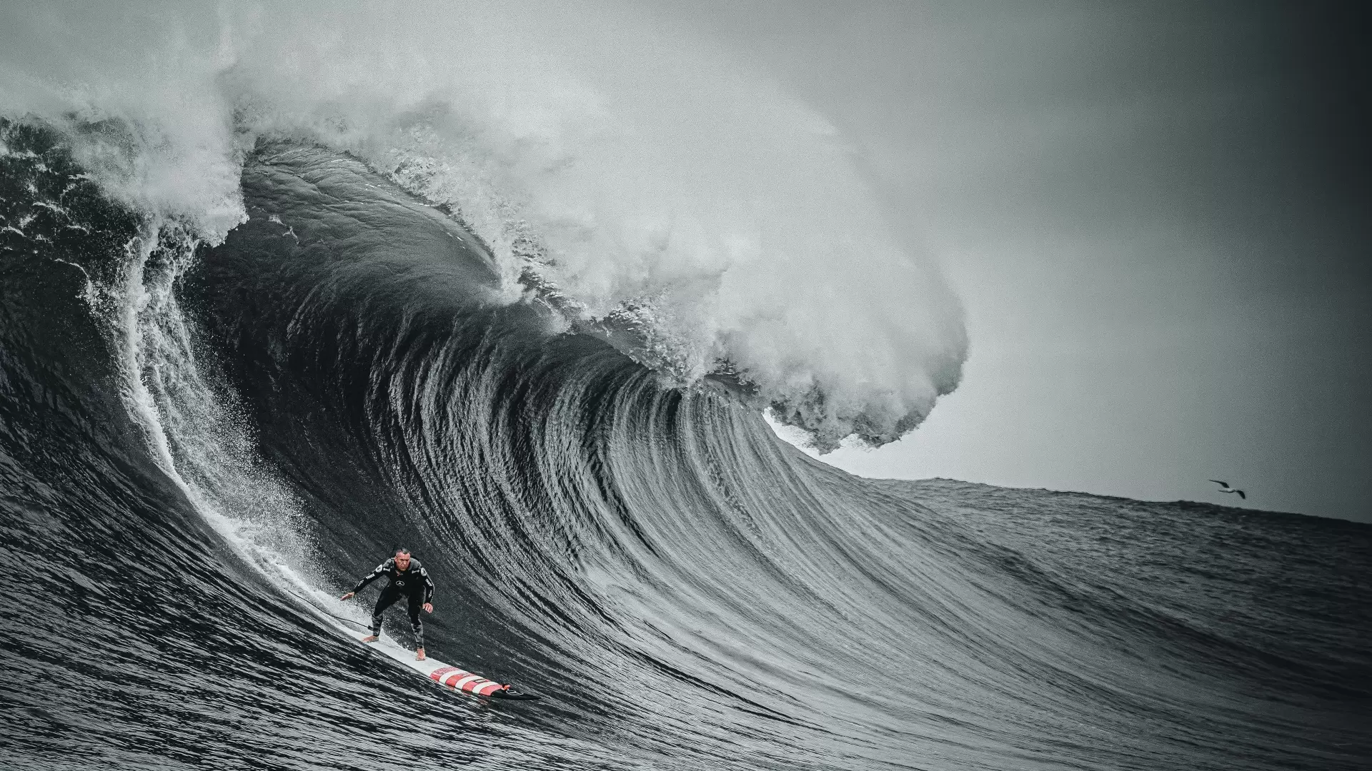 دانلود مستند 100 Foot Wave 2021 (موج ۱۰۰ فوتی)