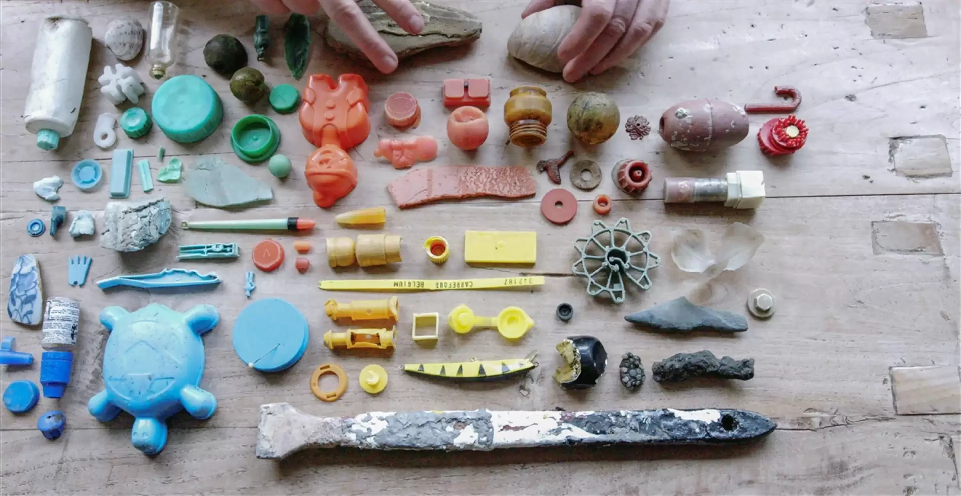 دانلود مستند Walk The Tideline 2021 (قدم زدن در خط جزر و مد) با تماشای آنلاین