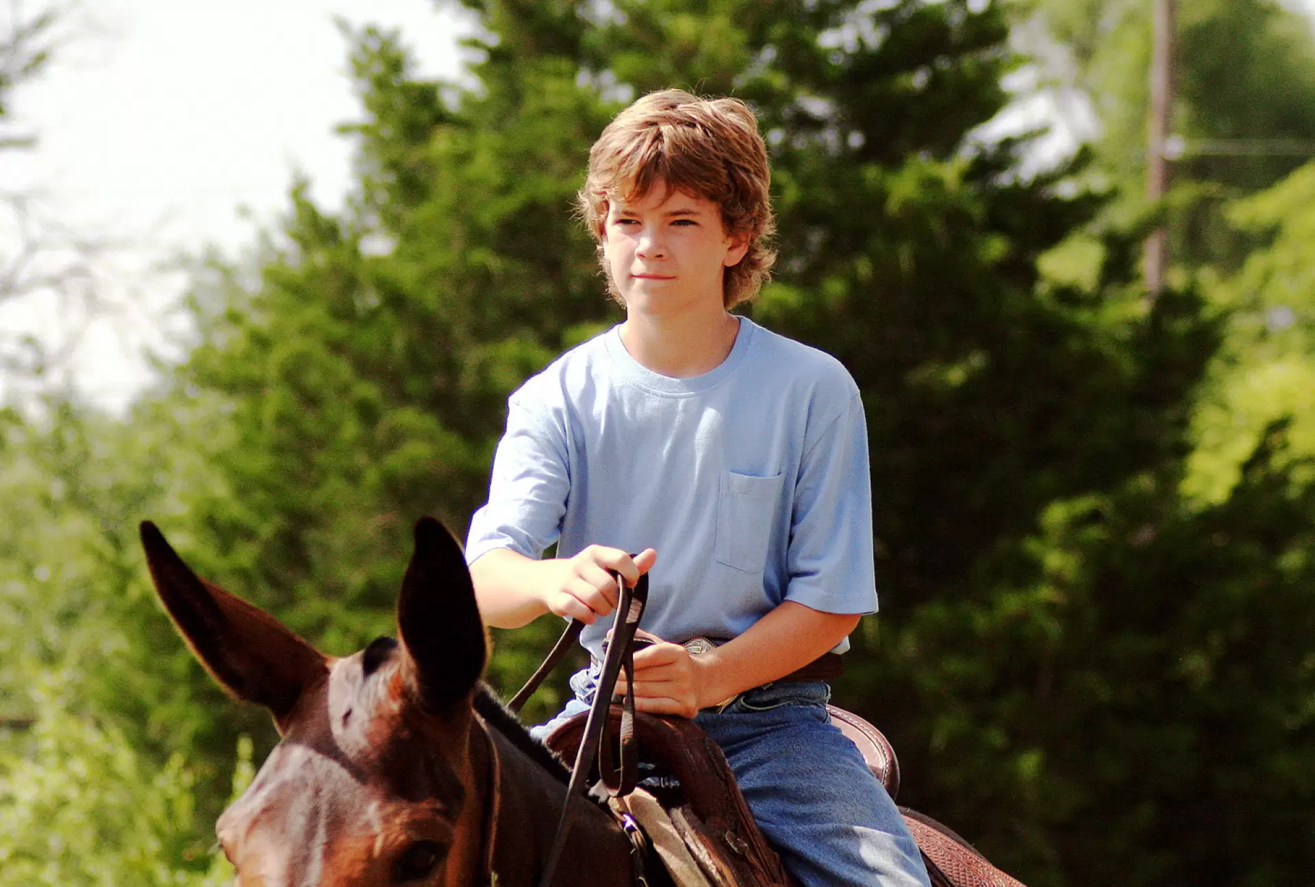 دانلود فیلم Tommy and the Cool Mule 2009