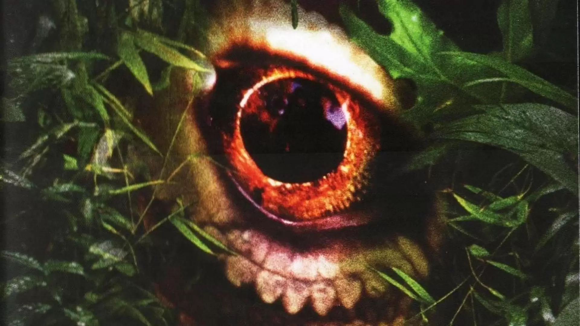دانلود فیلم The Curse of the Komodo 2004