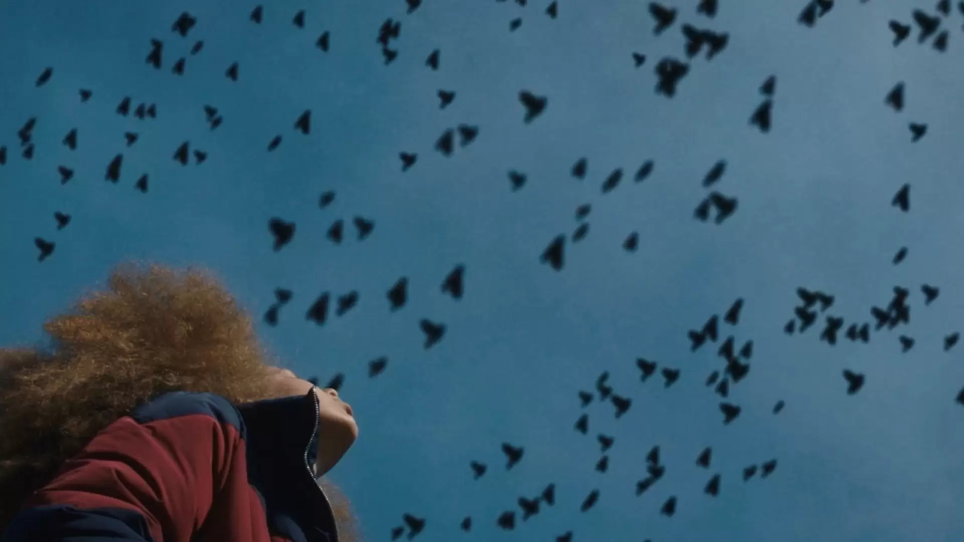 دانلود فیلم Broken Bird 2020