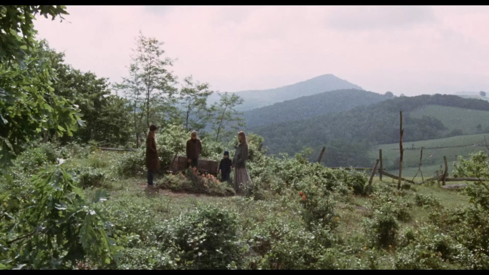 دانلود فیلم Where the Lilies Bloom 1974