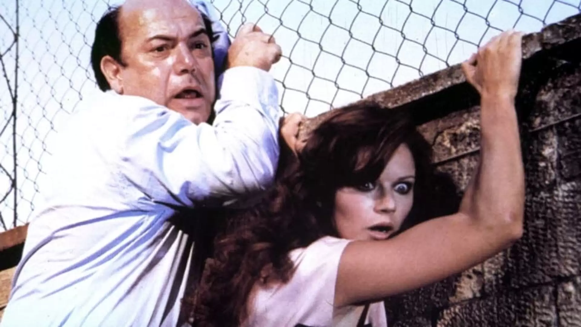 دانلود فیلم Vai avanti tu che mi vien da ridere 1982