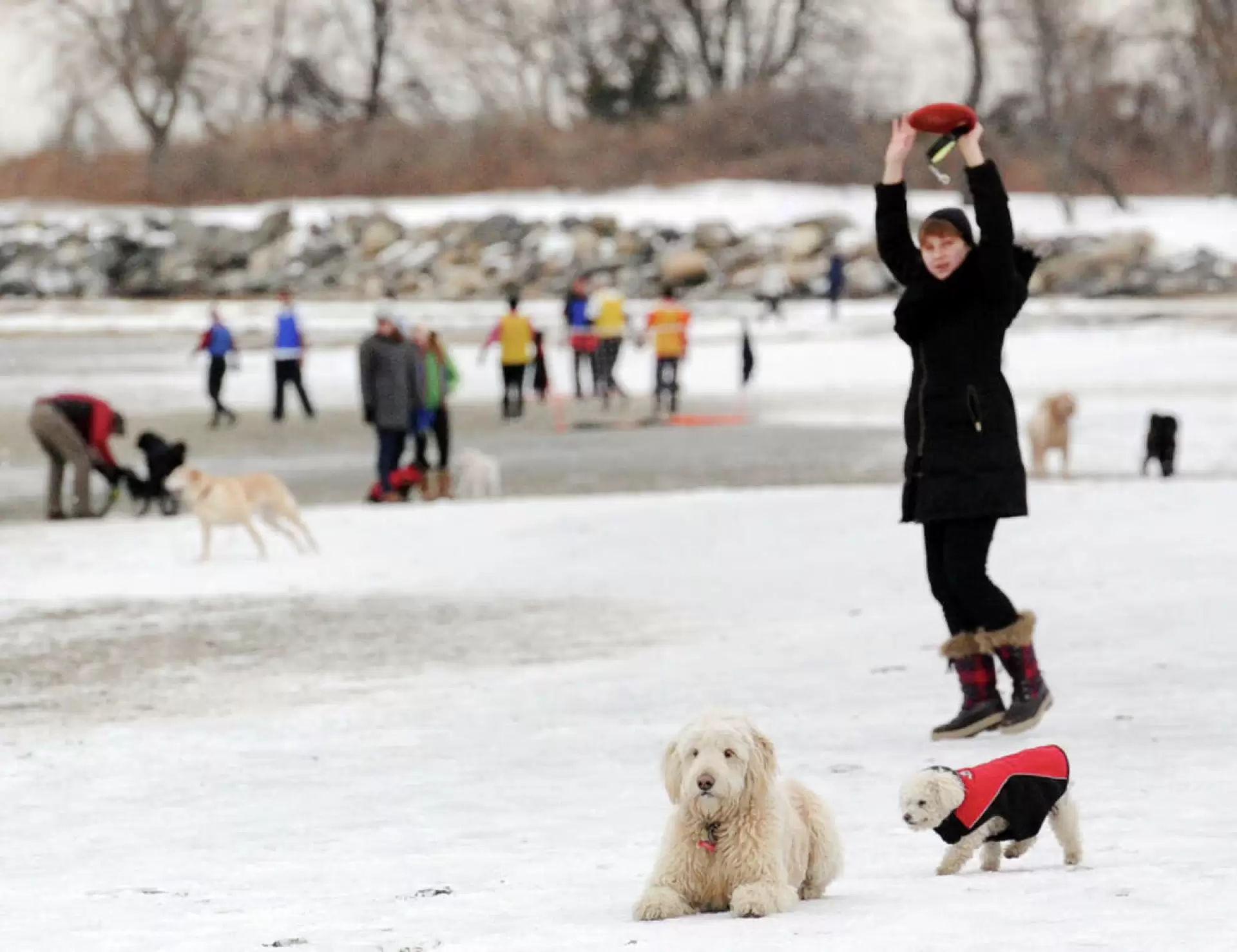 دانلود مستند Dog Days of Winter 2015 با زیرنویس فارسی