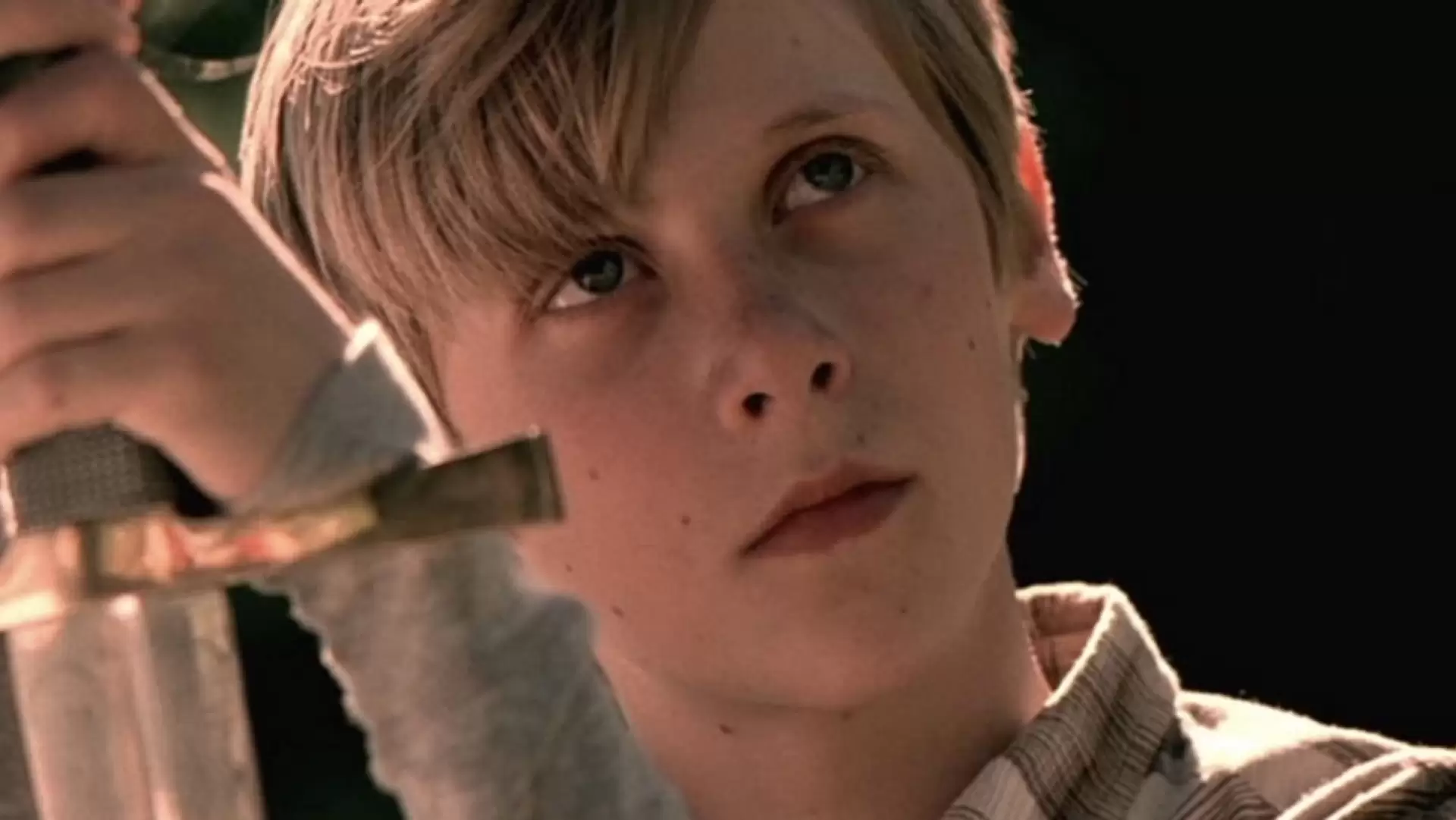 دانلود فیلم The Garden 2006