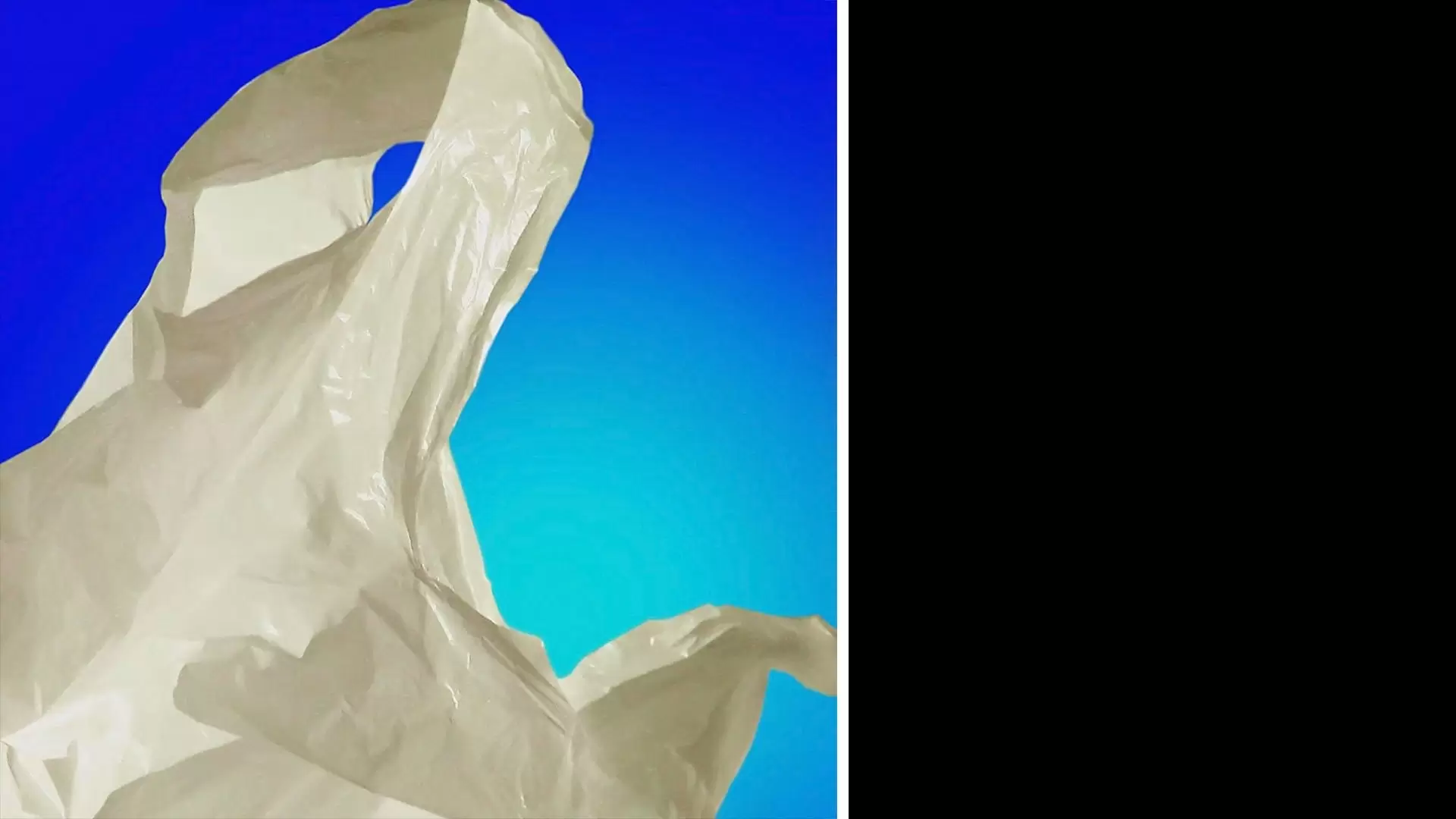 دانلود فیلم Plastic Bag 2009