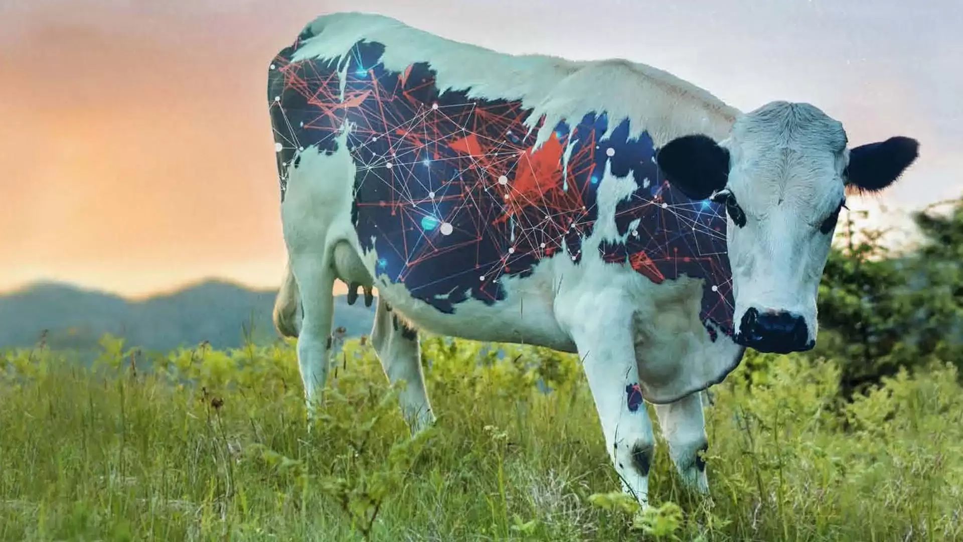 دانلود مستند Meat the Future 2020