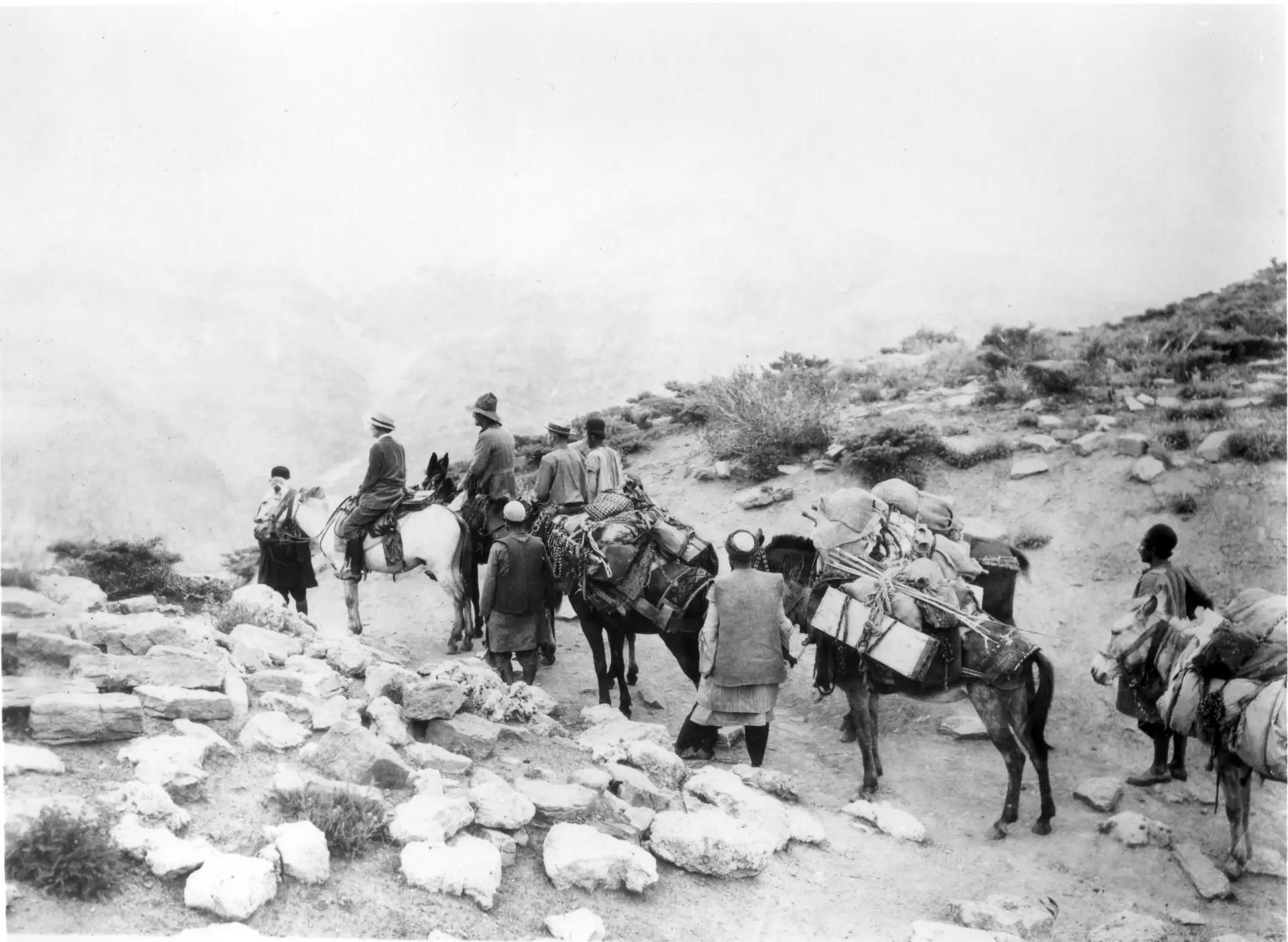 دانلود مستند Grass: A Nation’s Battle for Life 1925 با زیرنویس فارسی و تماشای آنلاین