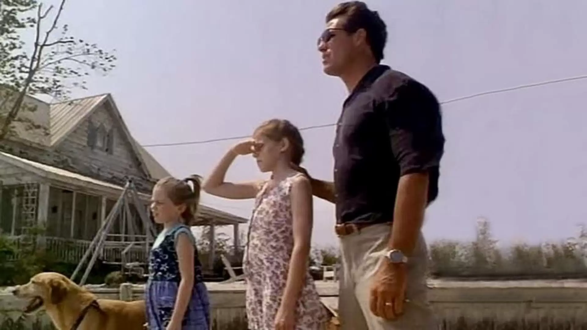 دانلود فیلم The Birds II: Land’s End 1994