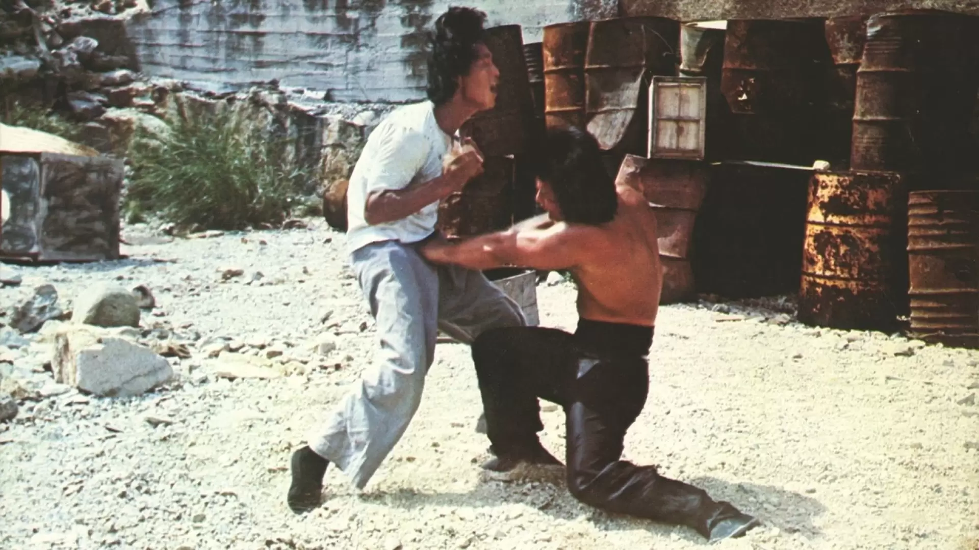 دانلود فیلم Chinese Hercules 1973
