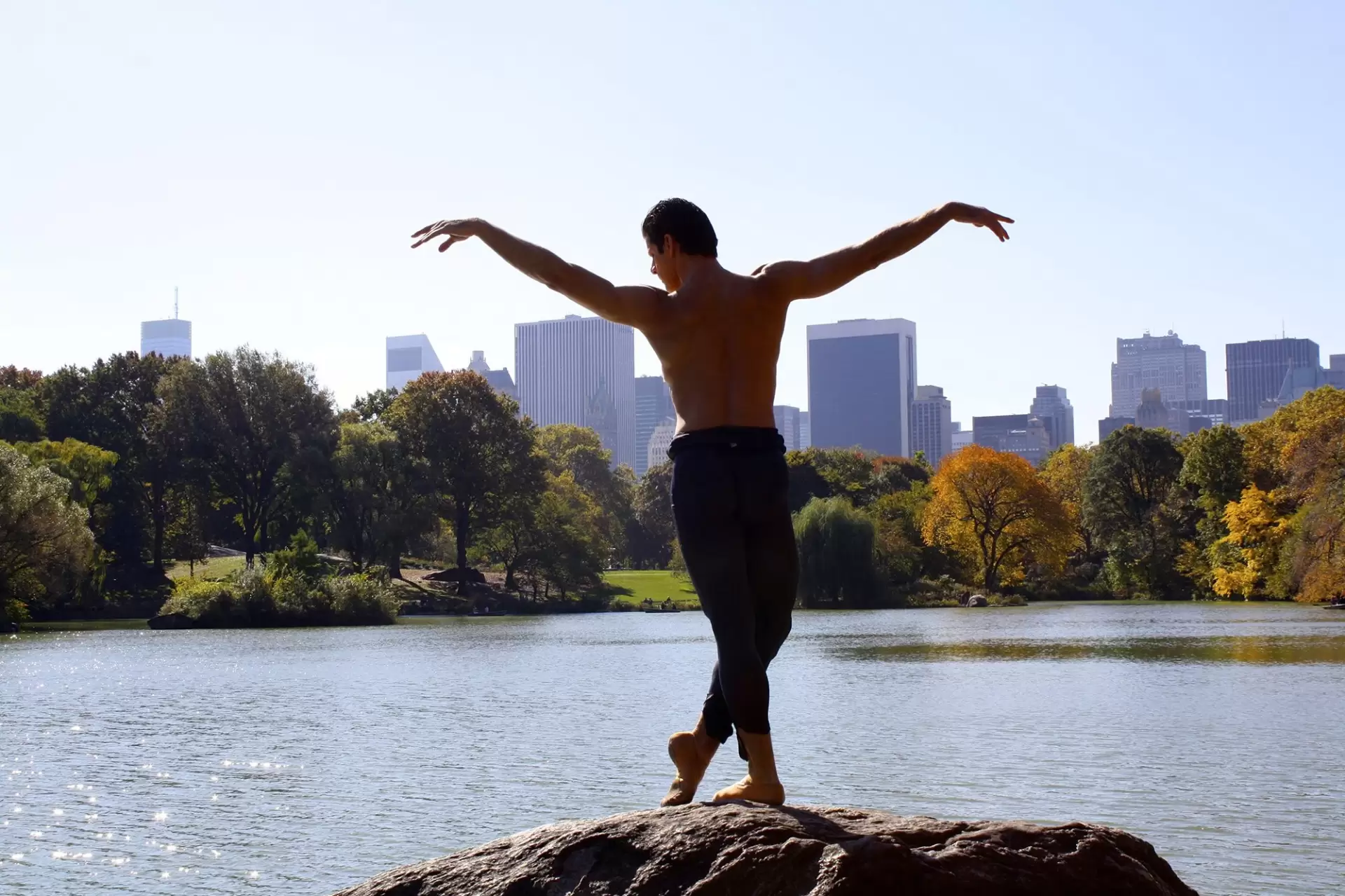 دانلود مستند Anatomy of a Male Ballet Dancer 2017