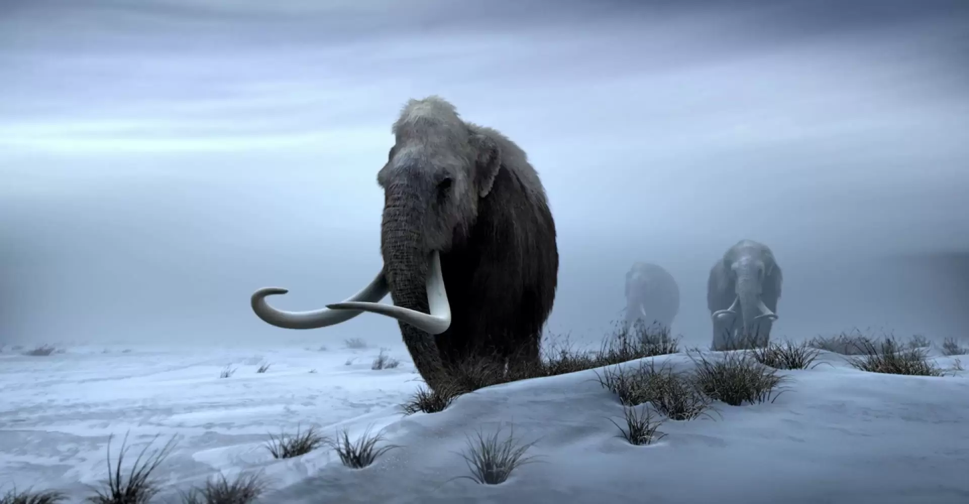 دانلود مستند Titans of the Ice Age 2013