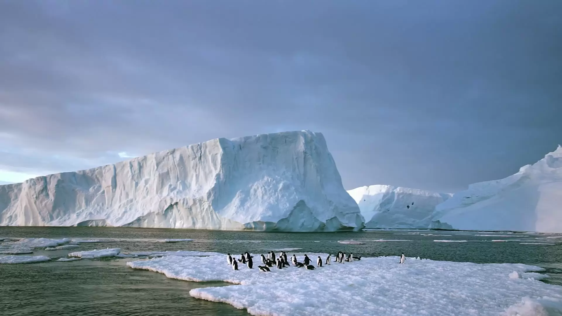دانلود مستند Antarctica 3D: On the Edge 2014 با زیرنویس فارسی