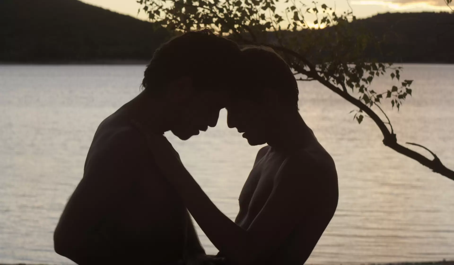 دانلود فیلم Stranger by the Lake 2013 با زیرنویس فارسی