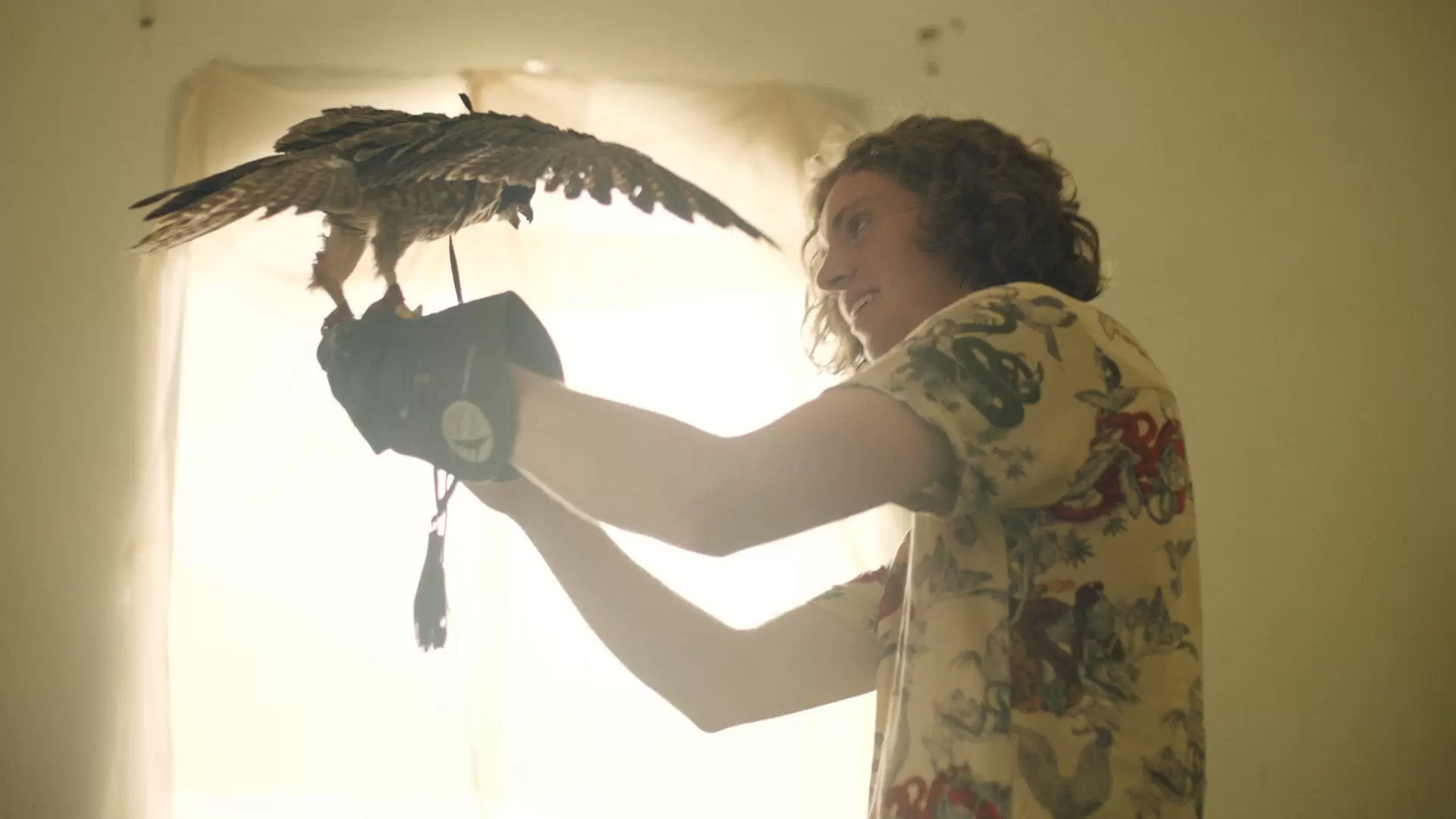 دانلود فیلم The Falconer 2021