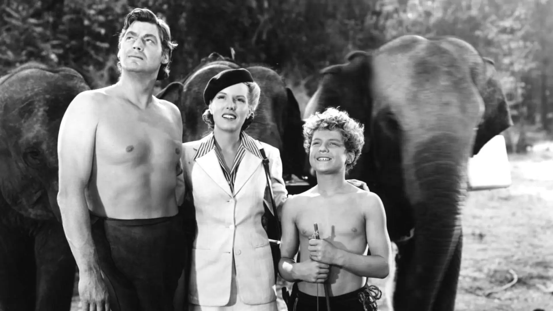 دانلود فیلم Tarzan and the Amazons 1945