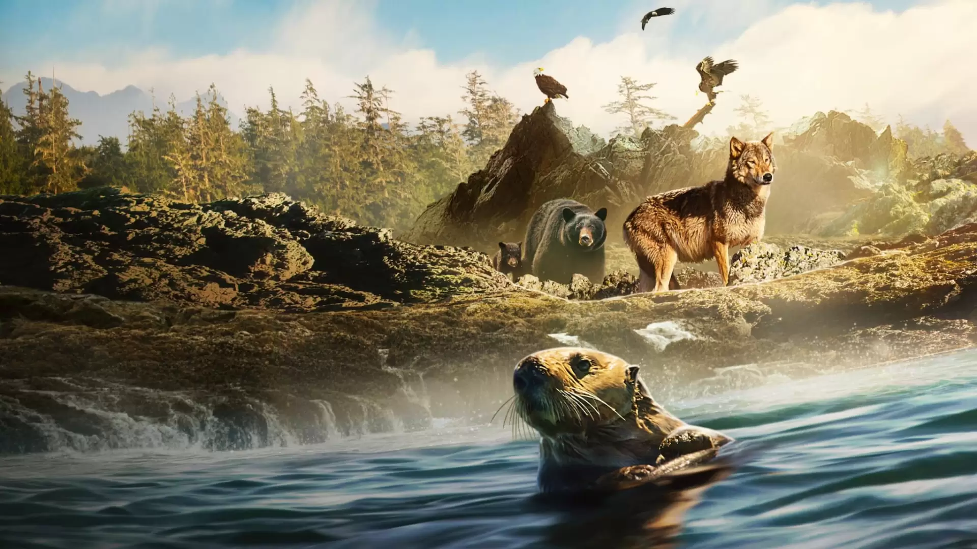 دانلود مستند Island of the Sea Wolves 2022 با تماشای آنلاین