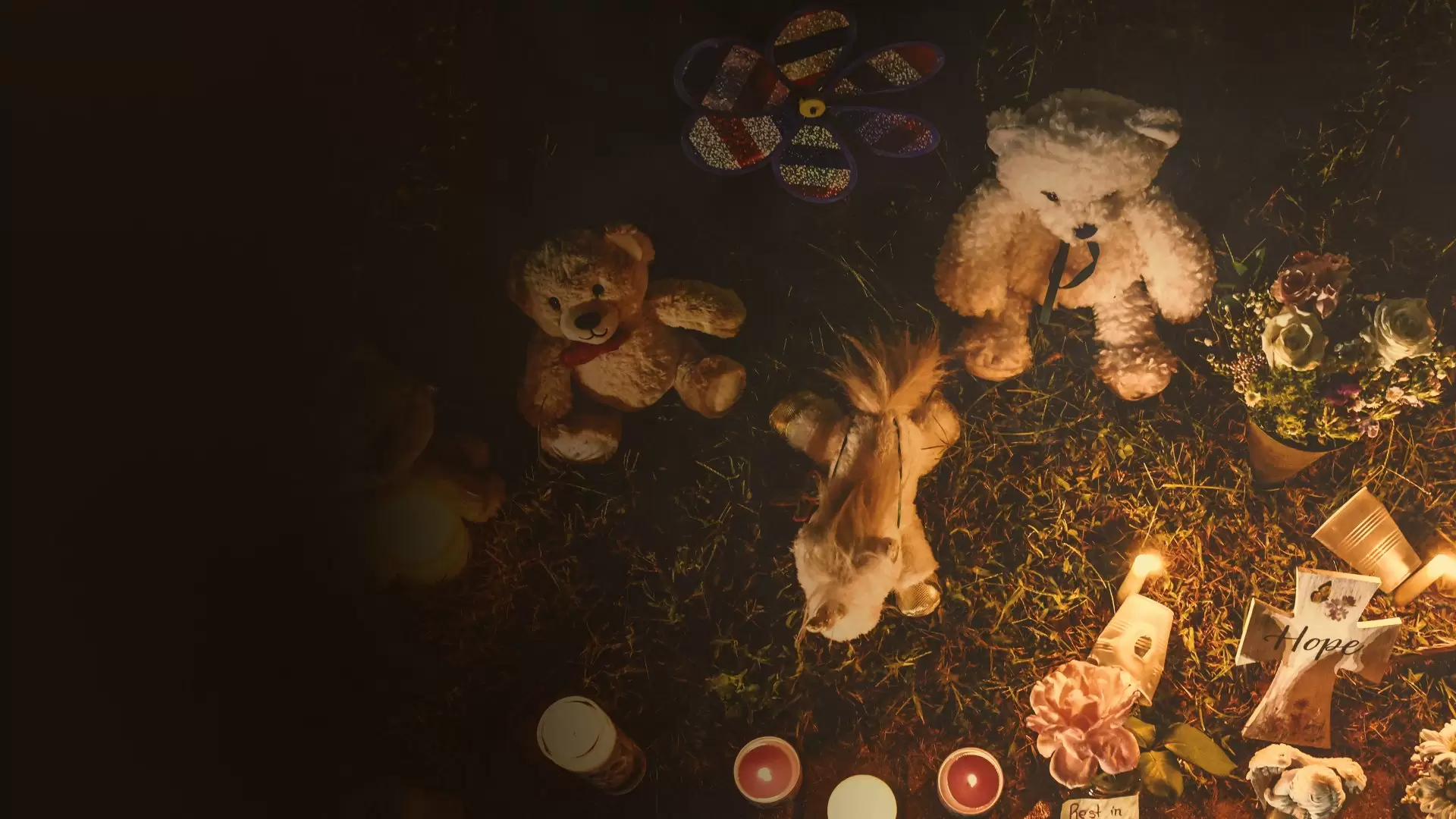 دانلود مستند The Murder of Gabby Petito: What Really Happened 2022