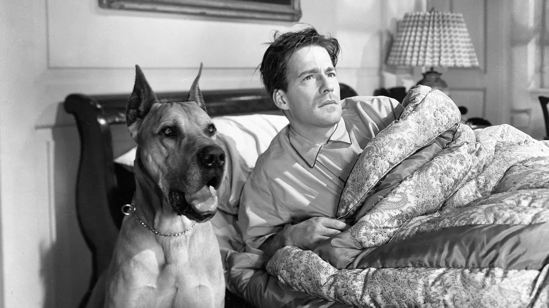 دانلود فیلم Come to the Stable 1949