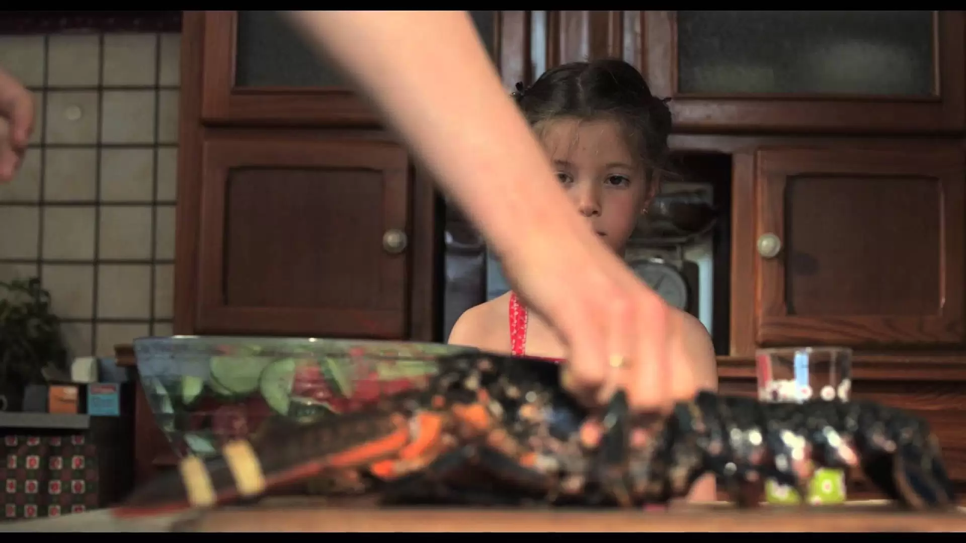 دانلود فیلم The Lobster’s Cry 2012