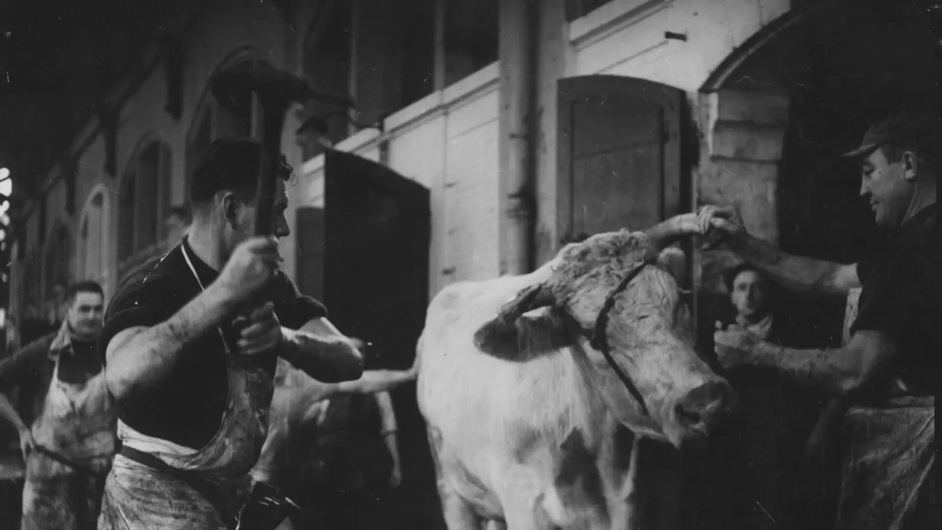 دانلود مستند Blood of the Beasts 1949 با زیرنویس فارسی و تماشای آنلاین