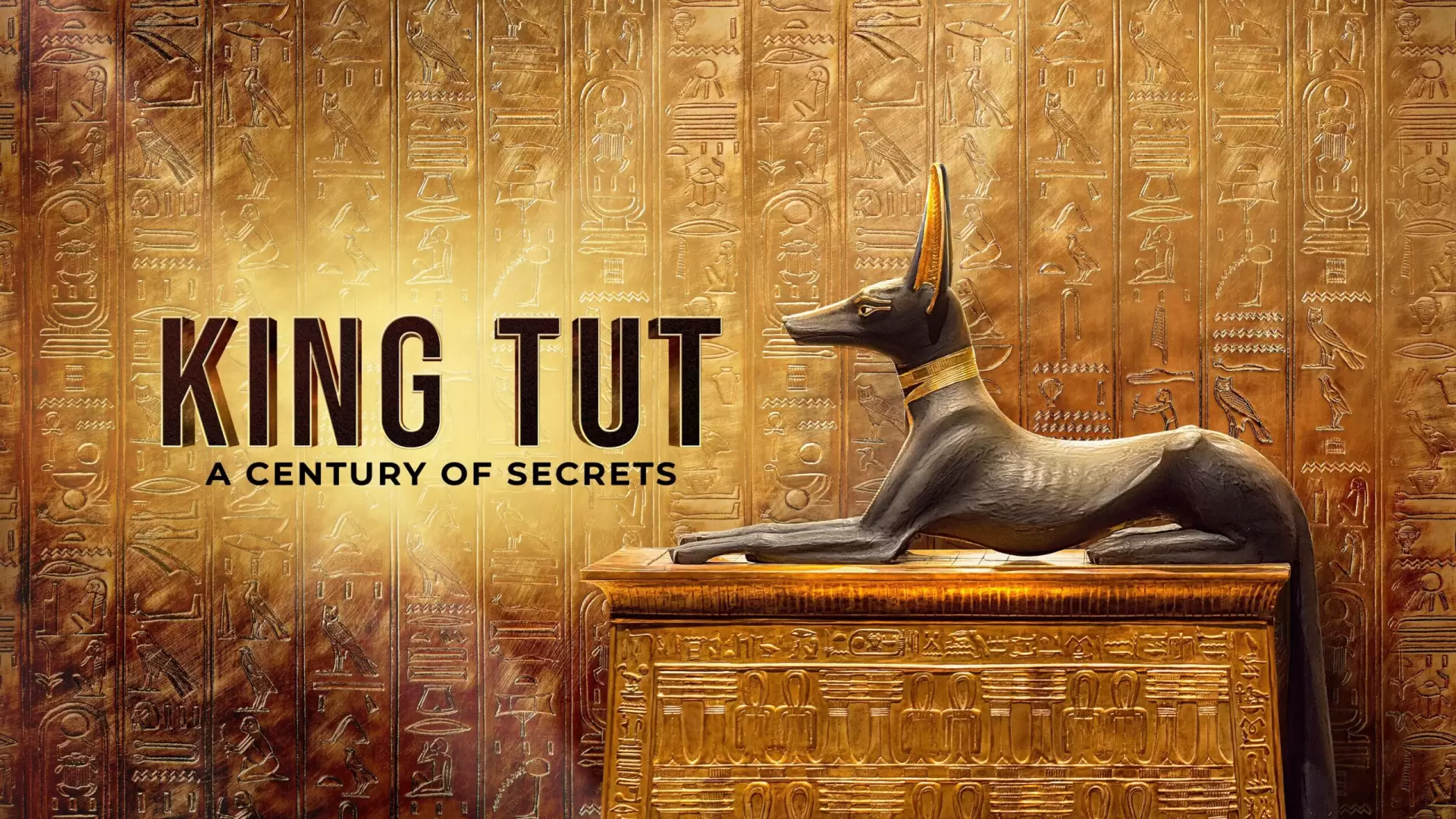 دانلود مستند Tut: A Century of Secrets 2022