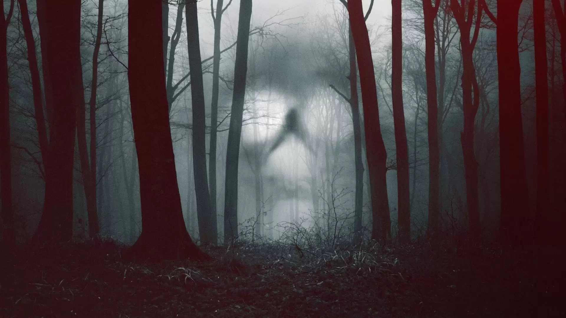 دانلود سریال 28 Days Haunted 2022