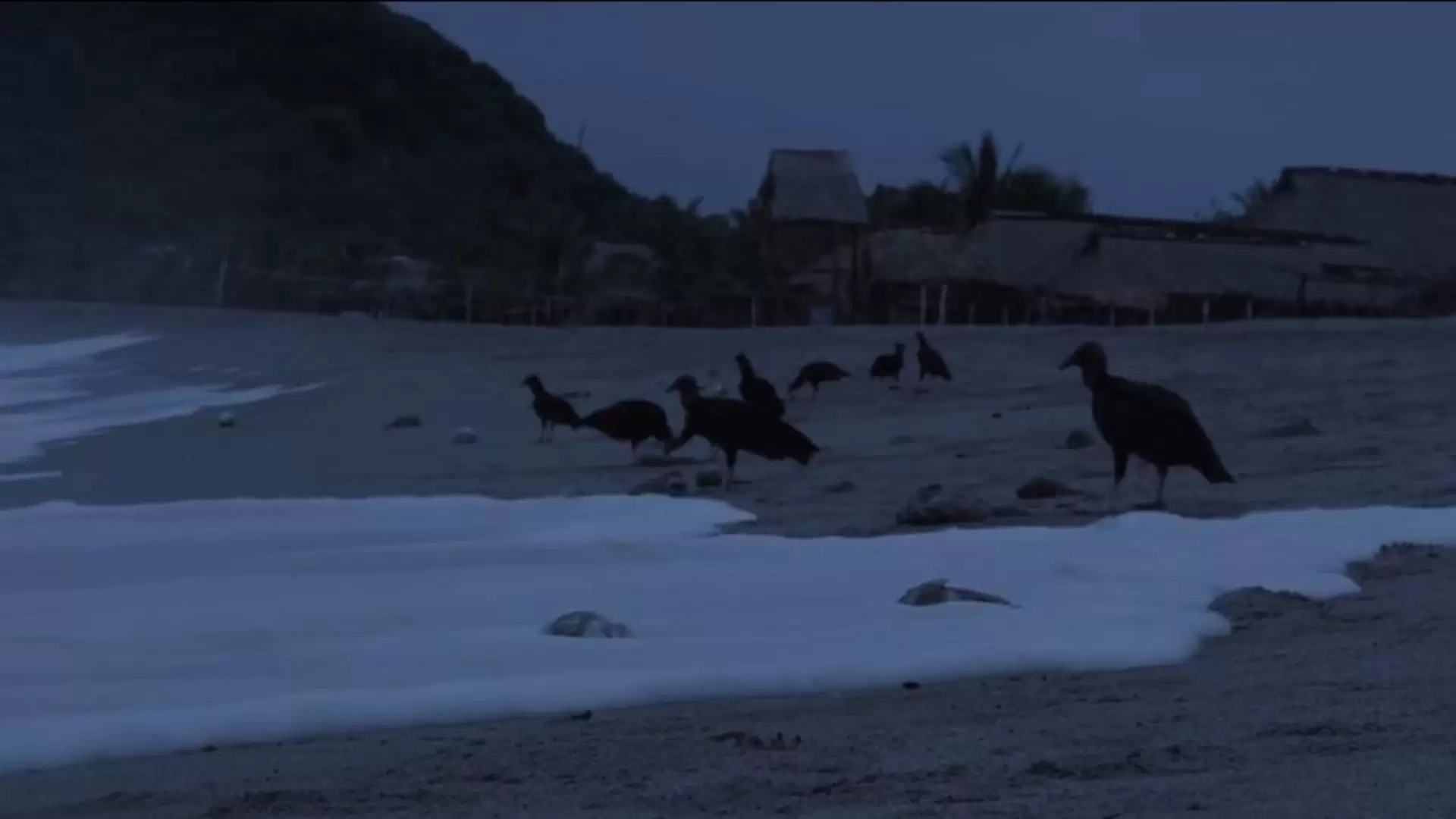 دانلود فیلم Carrion 2016