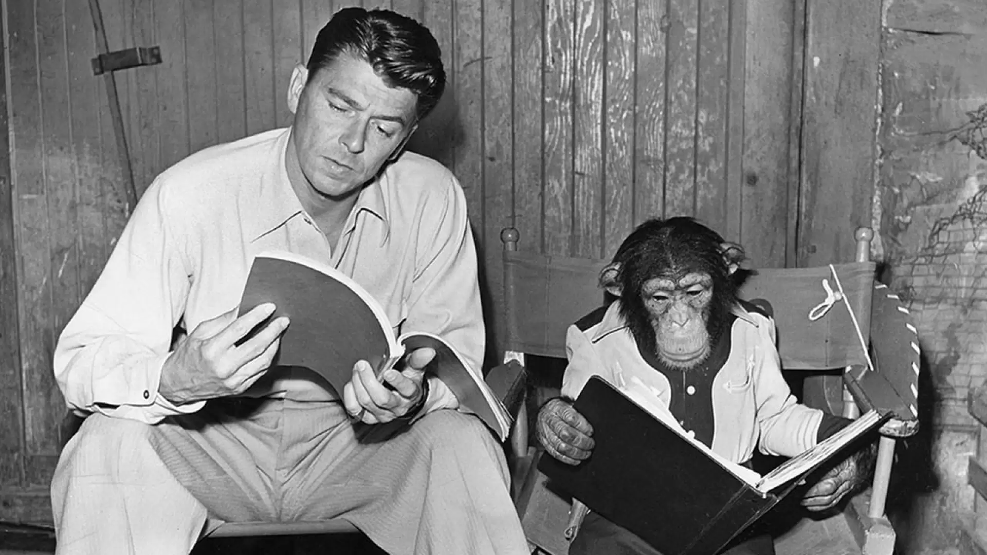 دانلود فیلم Bedtime for Bonzo 1951