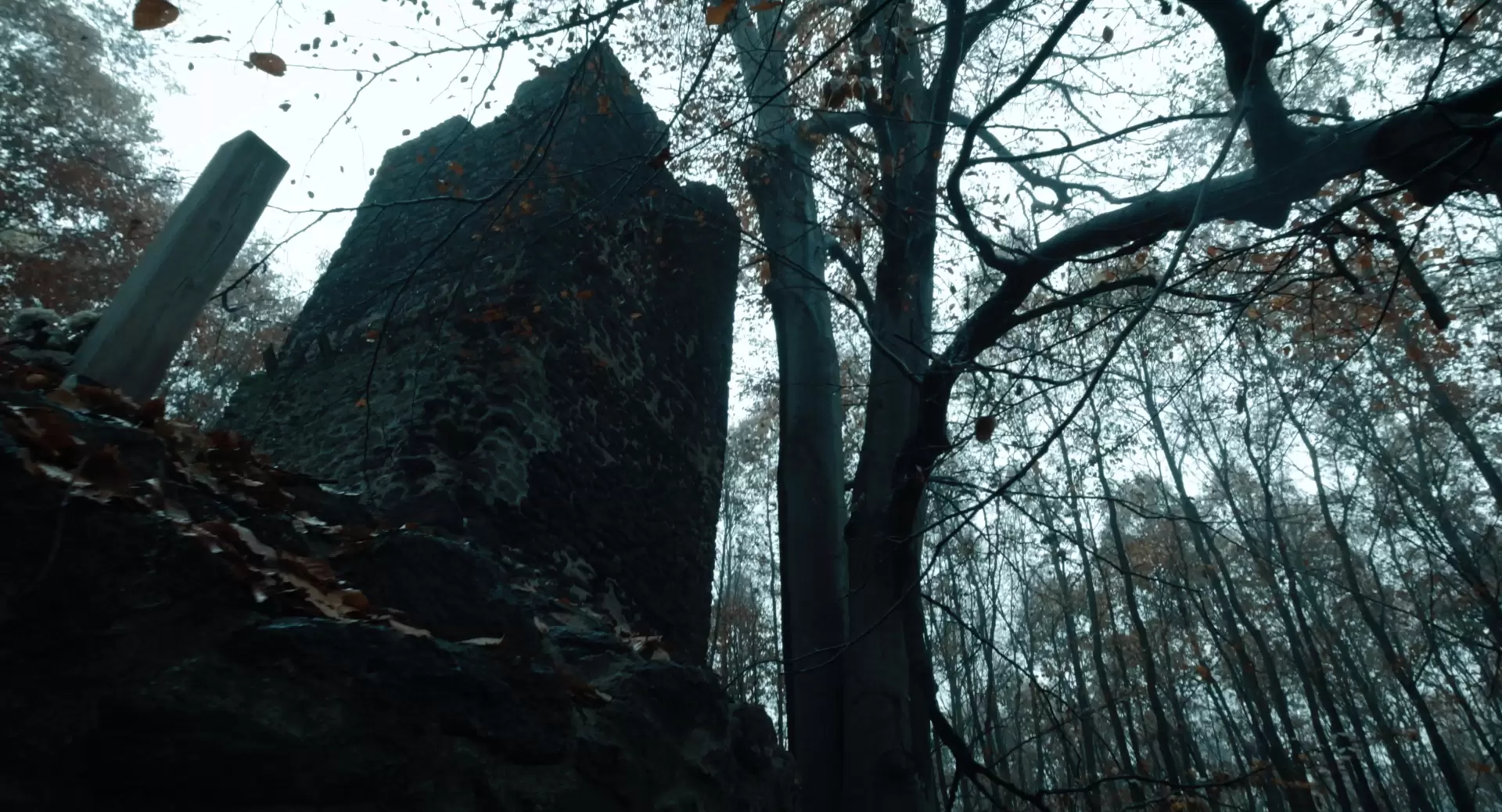دانلود فیلم I Hear the Trees Whispering 2022