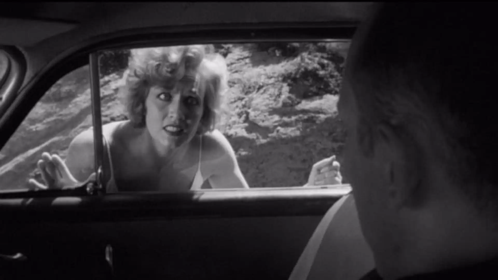 دانلود فیلم The Thrill Killers 1964