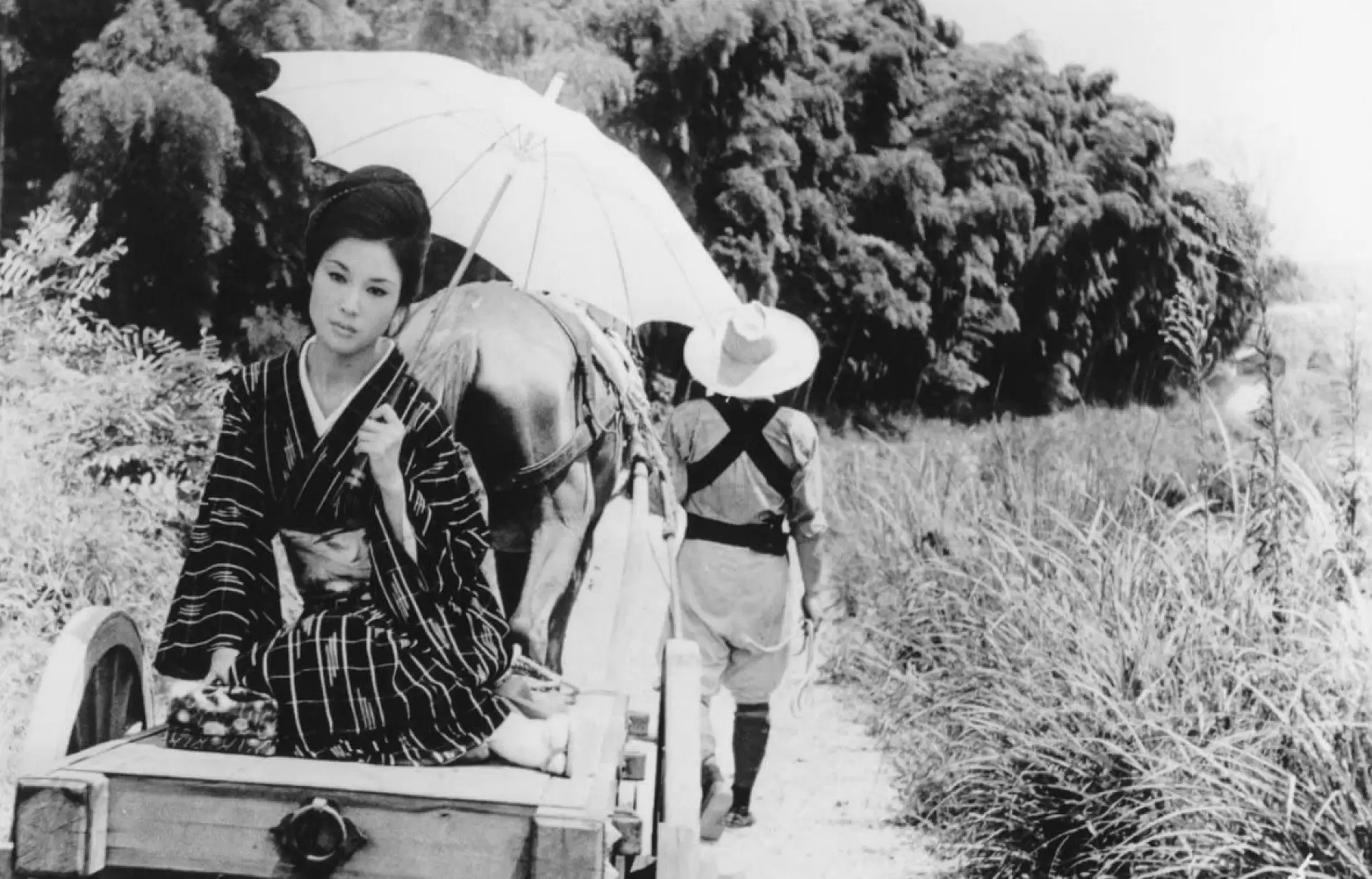 دانلود فیلم Bamboo Doll of Echizen 1963 با زیرنویس فارسی