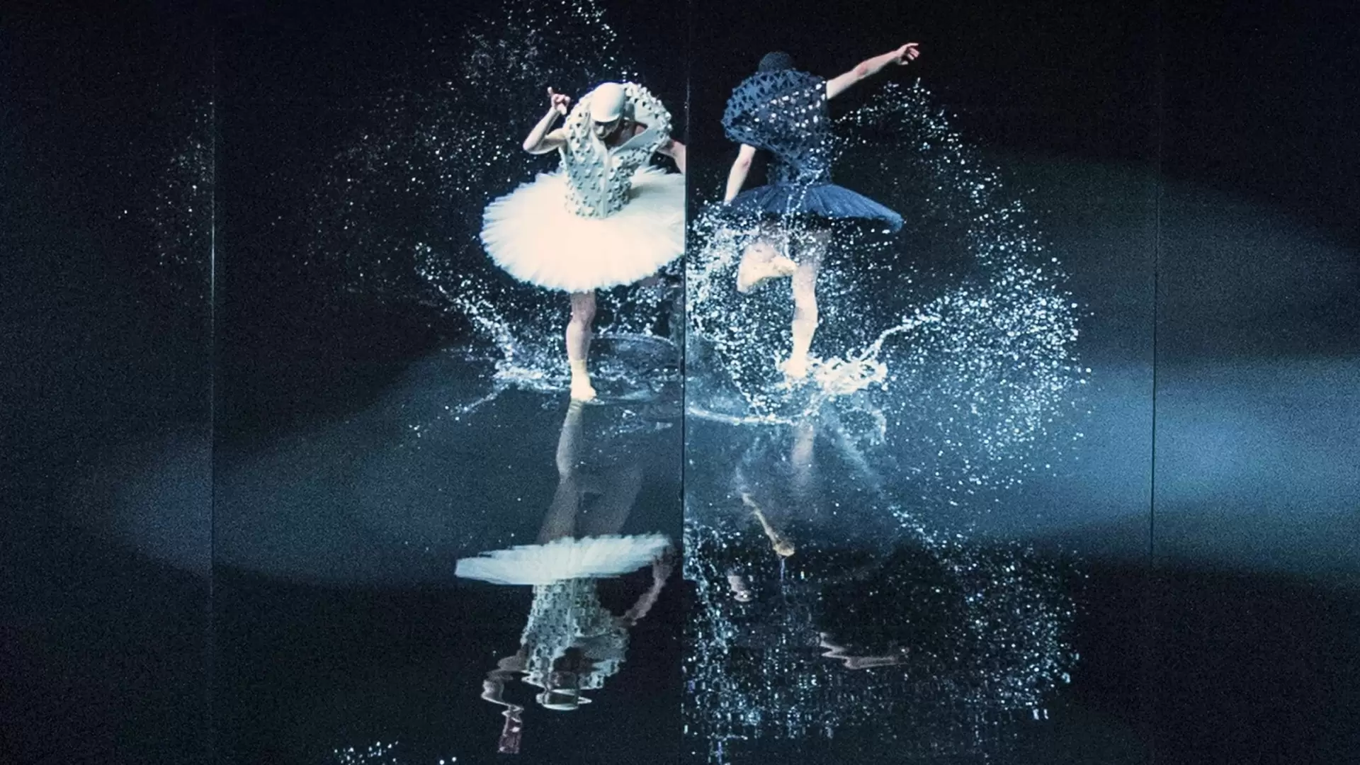 دانلود فیلم A Swan Lake 2014