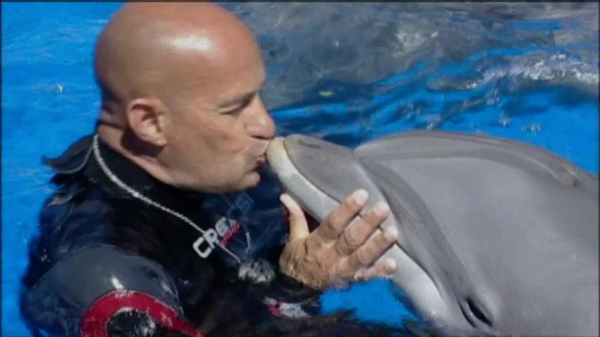 دانلود مستند The Last Dolphin King 2022 با تماشای آنلاین