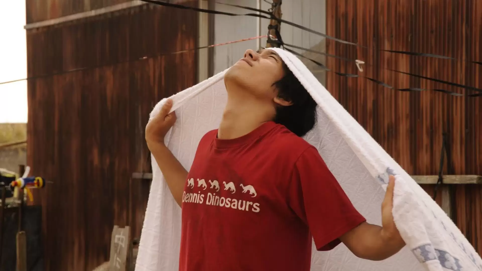 دانلود فیلم Bare Essence of Life 2009