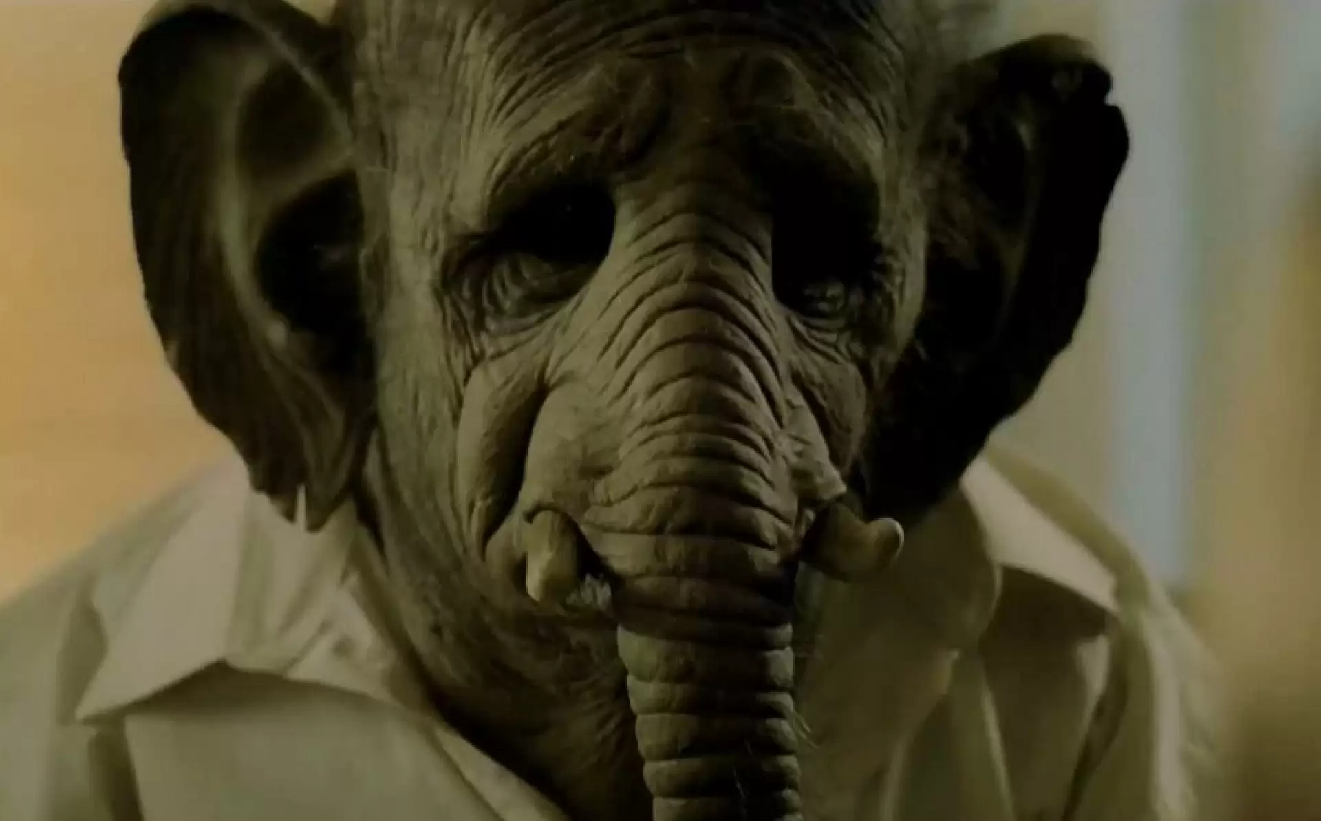 دانلود فیلم Elefante 2011