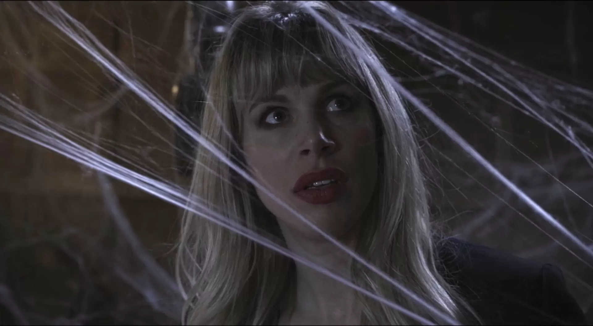 دانلود فیلم Spider from the Attic 2021