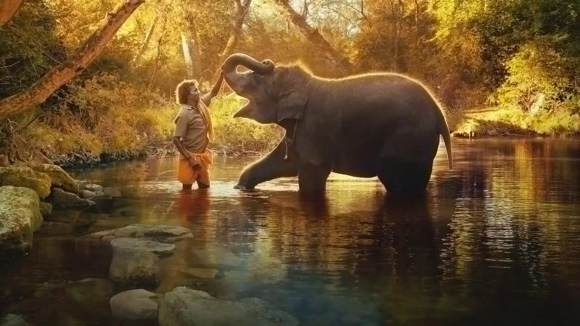 دانلود مستند The Elephant Whisperers 2022 با تماشای آنلاین
