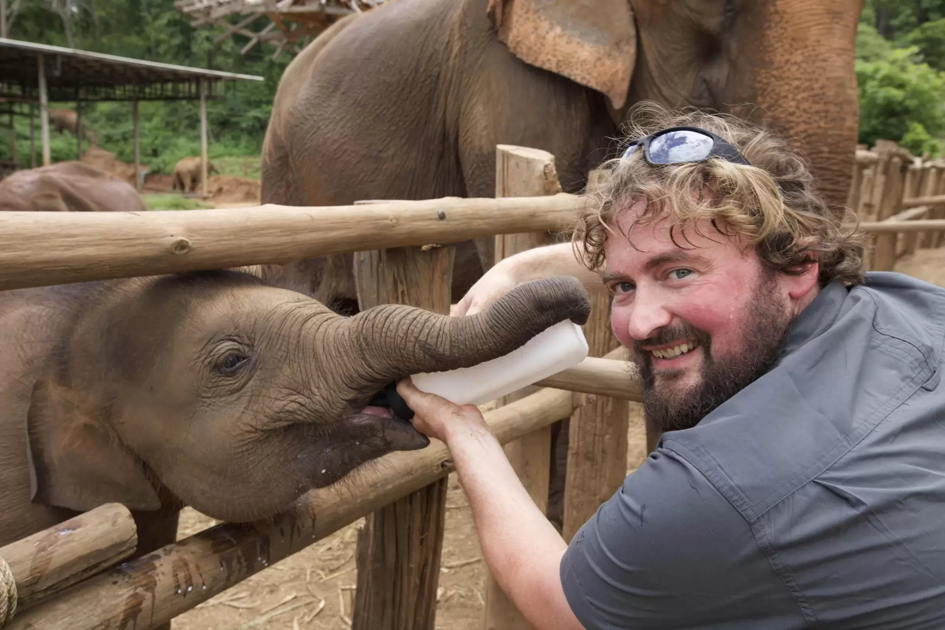 دانلود مستند Elephant Hospital 2020