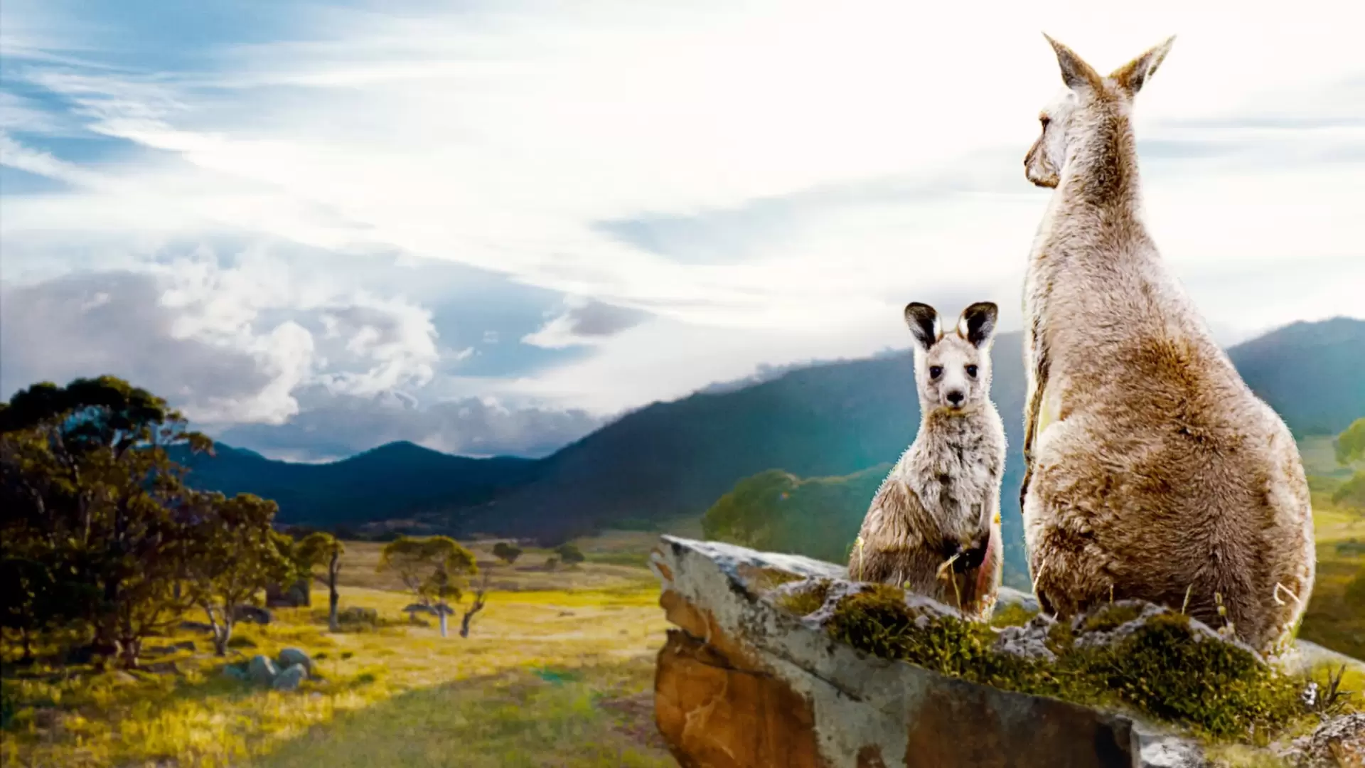 دانلود مستند Kangaroo Valley 2022