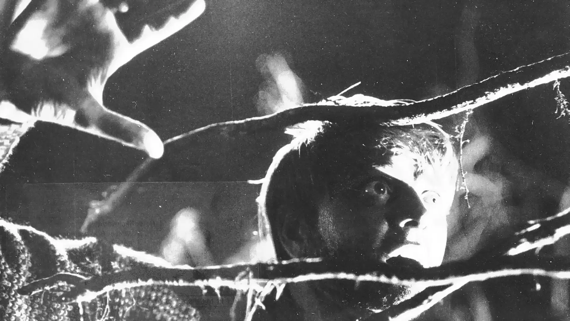 دانلود فیلم Lake of the Dead 1958
