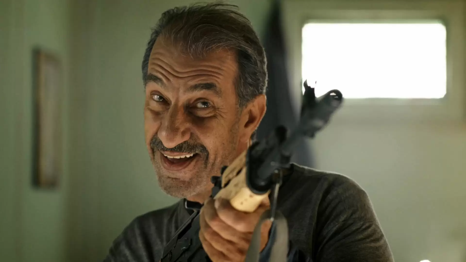 دانلود فیلم When Pigs Have Wings 2011