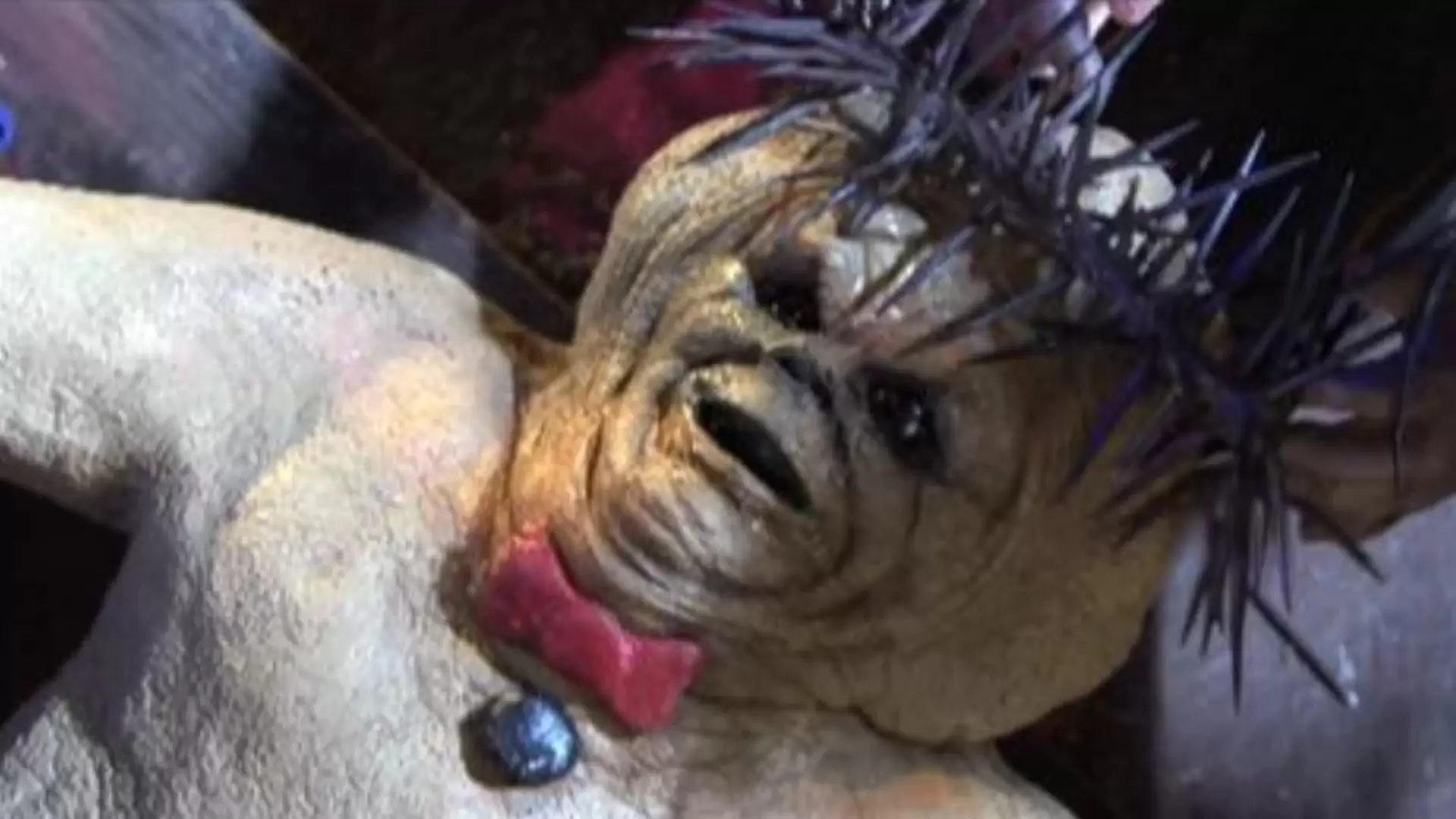دانلود فیلم Gingerdead Man 2: Passion of the Crust 2008