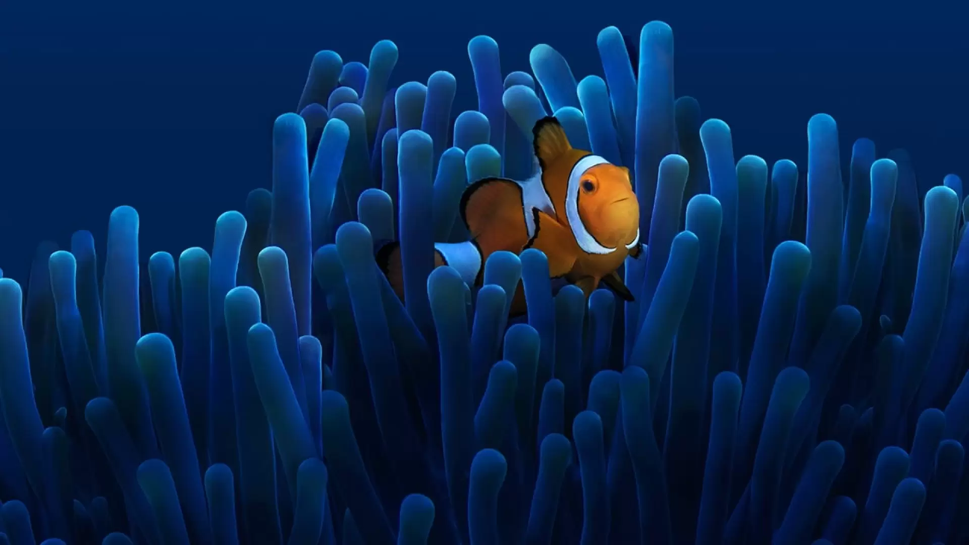 دانلود مستند Australia’s Ocean Highway 2020