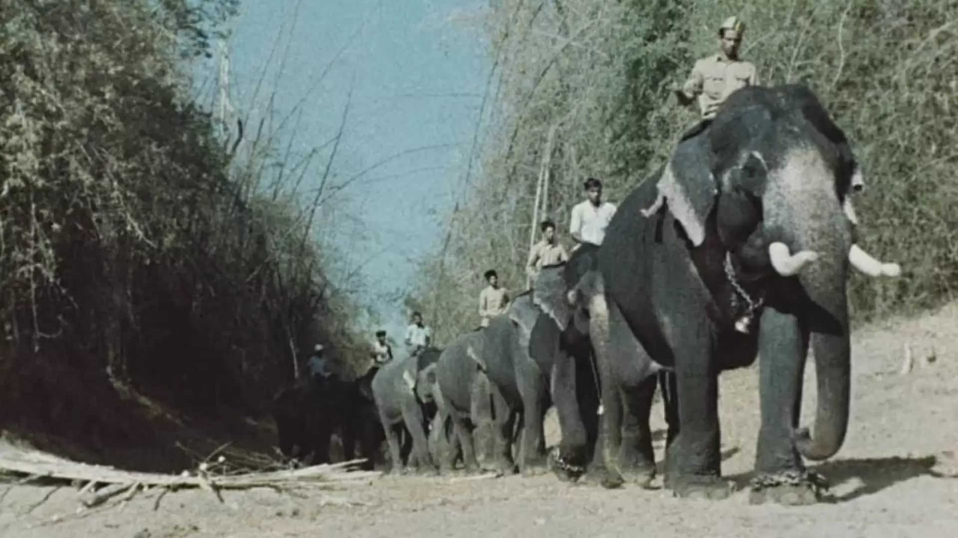 دانلود مستند India: Matri Bhumi 1959
