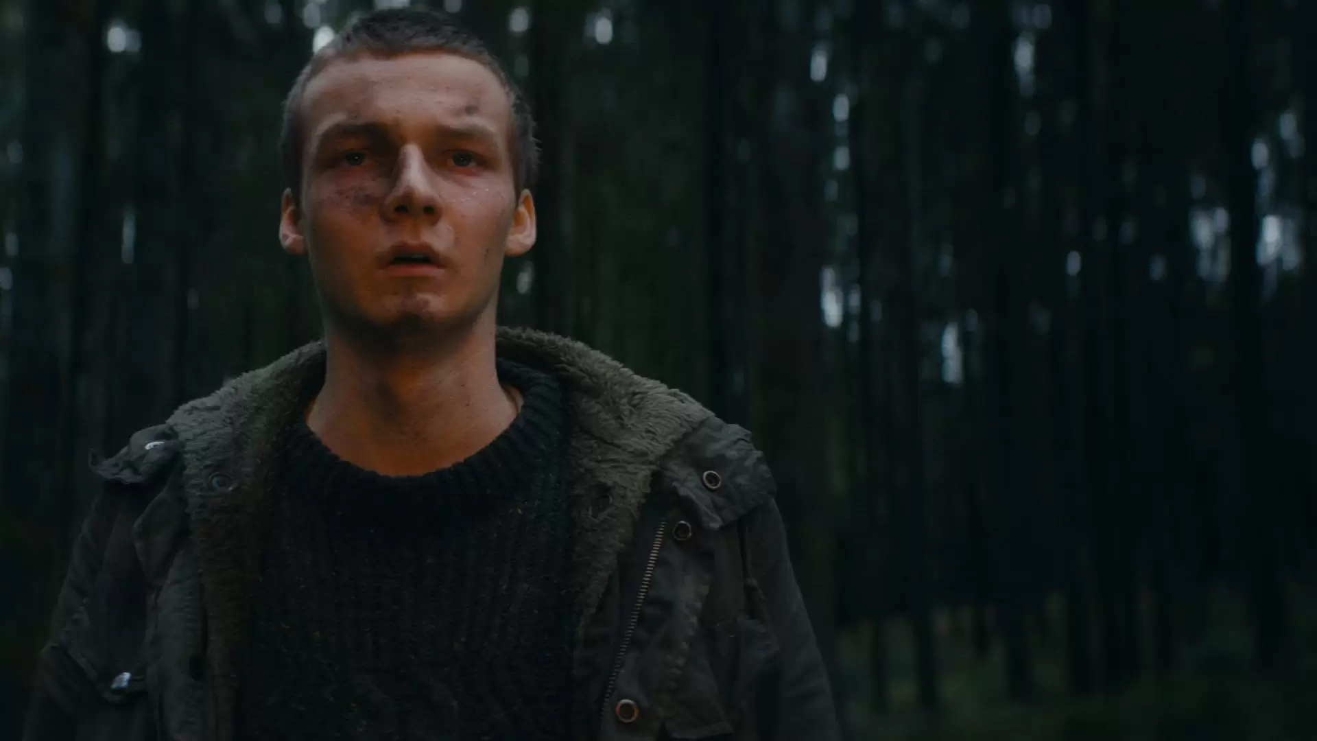 دانلود فیلم Dark Heart of the Forest 2021