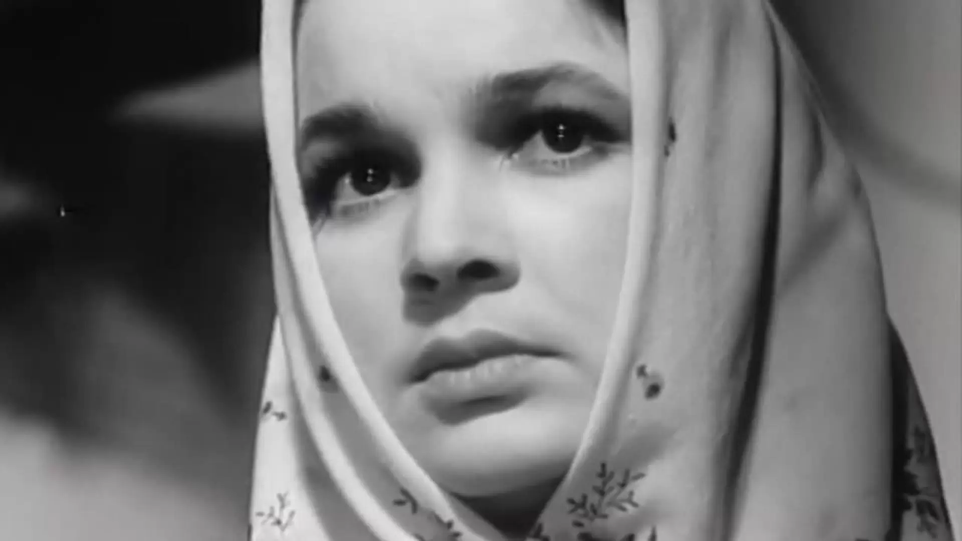 دانلود فیلم Flower on the Stone 1962 با زیرنویس فارسی